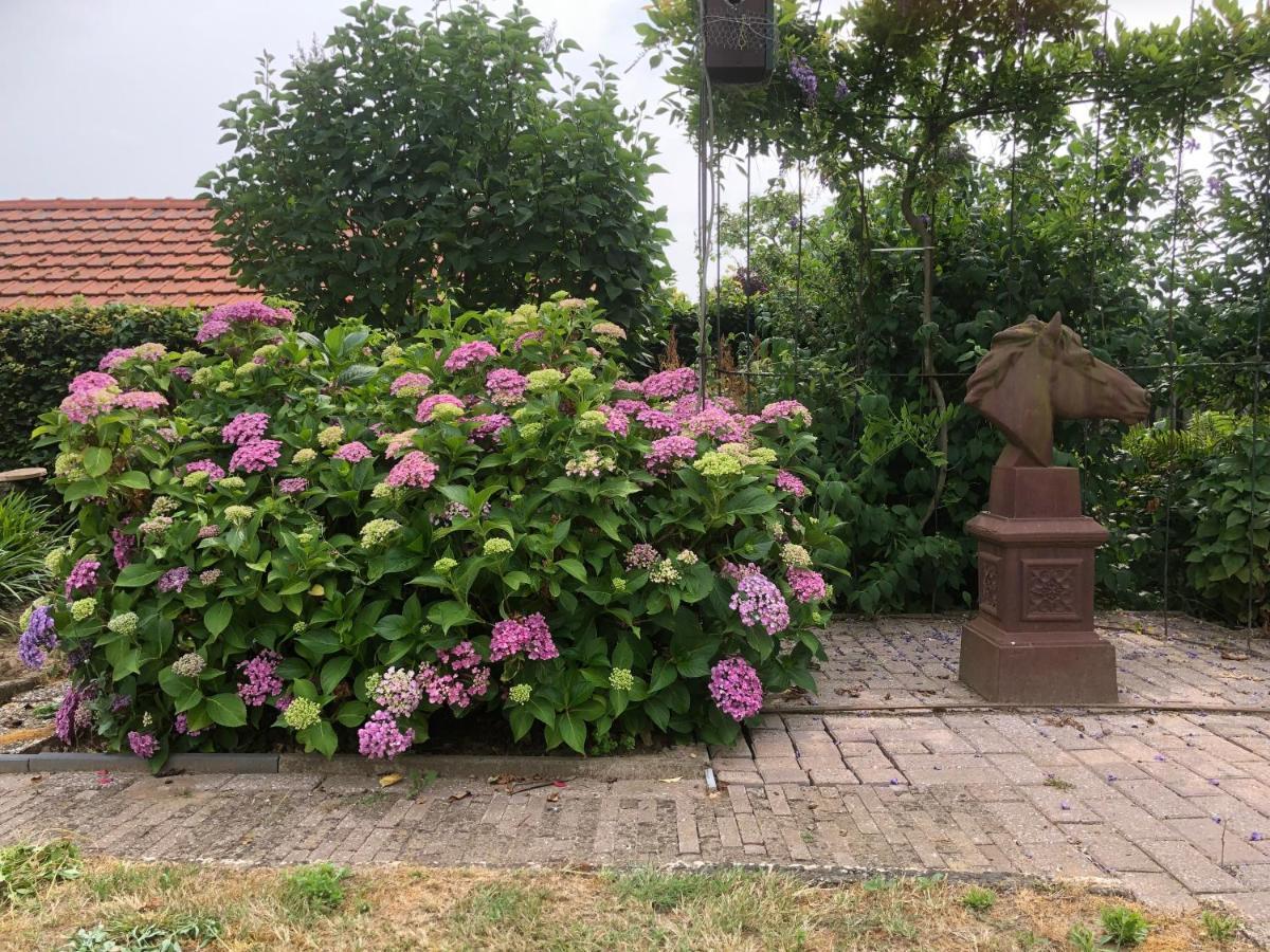 Laaker Villa Nearby Outlet Roermond Ohé en Laak Esterno foto