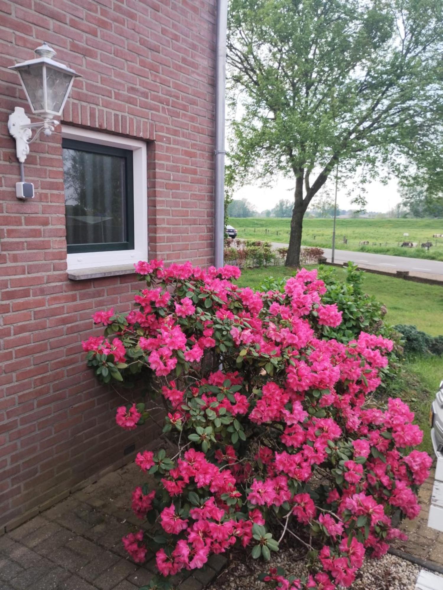 Laaker Villa Nearby Outlet Roermond Ohé en Laak Esterno foto